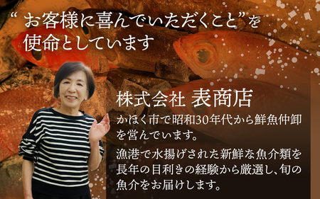 国産天然ぶり漬け 2種セット（計6枚）｜鰤 魚介