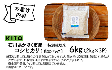 【令和7年産】こしひかり 6kg（2kg × 3袋）|  コシヒカリ お米