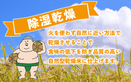 【災害・復興支援】【先行予約】里山のこしひかり ほくの里 10kg × 1袋【1月配送】| 新米 令和7年産