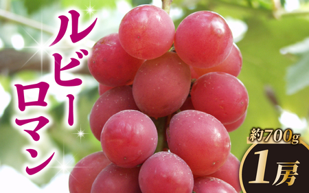 ルビーロマン 1房 約700g（1箱）【2026年収穫分】｜ぶどう ぶどう 葡萄