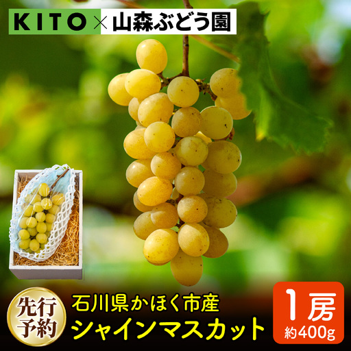 シャインマスカット 400g×1房 【2026年収穫分】 | ぶどう ぶどう 葡萄