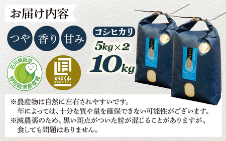 若みどりの こしひかり 10kg 白米  /  コシヒカリ 令和7年産 