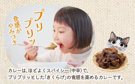 灰猫のきくらげカレー 1セット/180g5袋/レトルトカレー サンシャイン池崎 ねこ ネコ 保護猫