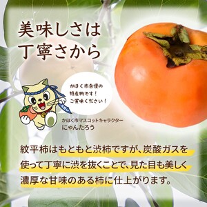 高松紋平柿１箱／１４～１６個入り
