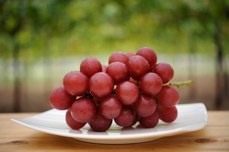 【先行予約】【2026年収穫分】 ルビーロマン 秀G（1箱）【2026年8月中旬以降順次発送】| 希少 貴重 数量限定 ぶどう ブドウ