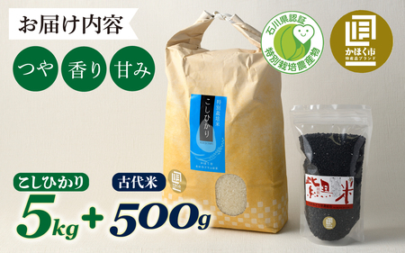 若緑産特別栽培米「こしひかり」と若緑産 古代米１セット　掛け流しの用水、自然豊かな若緑地区、安心安全