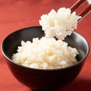 幸せの健康ご飯　12個入り_  米 こめ コメ_【1114166】