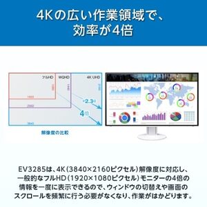 EIZO 31.5型4K液晶モニター FlexScan EV3285 ブラック【1242331