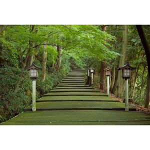 白山比め神社ガイド付き昇殿参拝_旅行券・チケット  体験チケット _【1250603】