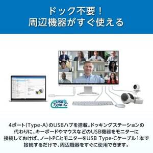 EIZO USB Type-C搭載23.8型モニター FlexScan EV2480-Z ブラック【1293821】