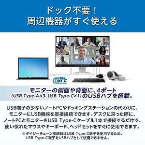 EIZOのUSB Type-C入出力搭載24.1型モニター FlexScan EV2495 ブラック【1316554】