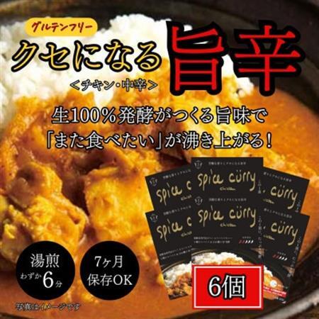 発酵スパイスカレー6個 ★5種のスパイスと白山麓のW発酵 芳醇な香り＆クセになる旨辛 グルテンフリー_惣菜・加工品 カレー  _【配送不可地域：離島】【1376653】