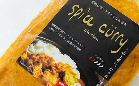 発酵スパイスカレー10個★5種のスパイスと白山麓のW発酵 芳醇な香り＆クセになる旨辛 グルテンフリー_惣菜・加工品 カレー  _【配送不可地域：離島】【1376659】