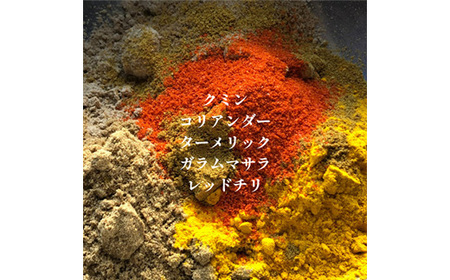 発酵スパイスカレー10個★5種のスパイスと白山麓のW発酵 芳醇な香り＆クセになる旨辛 グルテンフリー_惣菜・加工品 カレー  _【配送不可地域：離島】【1376659】