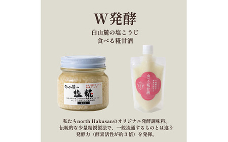 発酵スパイスカレー10個★5種のスパイスと白山麓のW発酵 芳醇な香り＆クセになる旨辛 グルテンフリー_惣菜・加工品 カレー  _【配送不可地域：離島】【1376659】