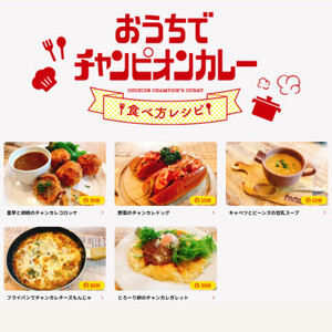 チャンピオンカレー お皿&フォークとレトルトカレー4種セット_惣菜・加工品 カレー _【1460178】