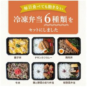 お試し　冷凍弁当　6種セット_惣菜・加工品   _【配送不可地域：離島】【1514690】