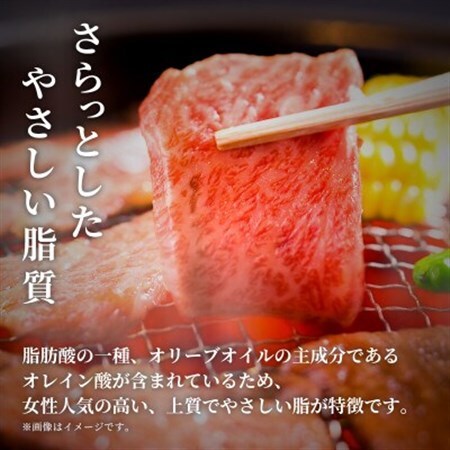 【和牛セレブ】能登牛 牛バラ 焼肉 500g(200g+300g)_肉 焼肉 牛肉 やきにく ヤキニク バーベキュー_【配送不可地域：離島】【1556779】