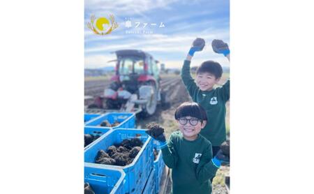 【先行予約】能美市特産品加賀丸いも 3kg 