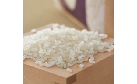  加賀百万石特別栽培米コシヒカリ白米10kg