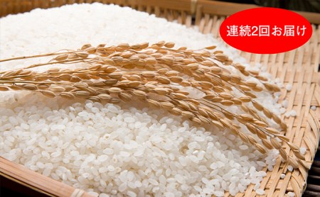 [№5784-0040]石川県産有機栽培米コシヒカリ「もりひろ」6.5kg 2回連続お届け