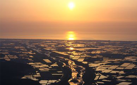 石川県産コシヒカリ 姫九谷(精米)10kg お米 