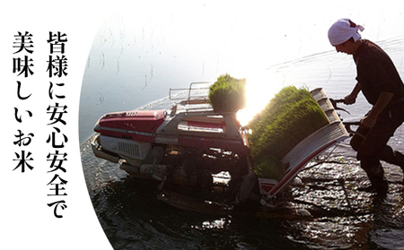 令和7年度産　ミルキークイーン（白米10kg） お米 ライス 精米 ブランド米 ご飯 炭水化物 毎食 朝ごはん ランチ 昼ごはん 夜ごはん 食卓 主食 おにぎり 直送 低農薬 