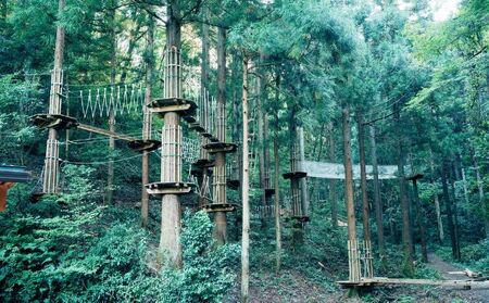 アドベンチャーガーデン能美 年間パス チケット 体験 レジャー フィールドアスレチック 子供 観光 アクティビティ 自然と遊ぶ