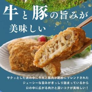 【能登牛×能登豚の旨み】粗びきメンチカツ80g×10個【配送不可地域：離島】【1667003】