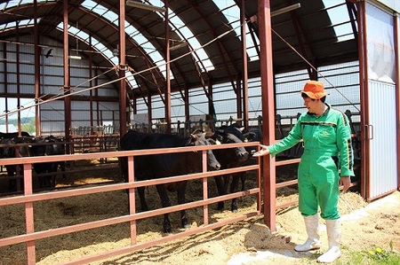 国産 御園和牛丼(牛丼の具)145g×5個