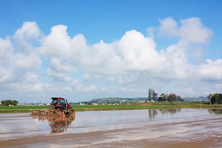 【無洗米3ヶ月定期便】特別栽培「きなうす米」ゆめぴりか5kg×3回