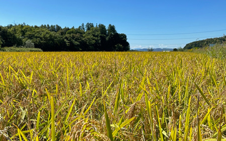 特Aランクななつぼし10kg（精米）【北海道栗山町産】
