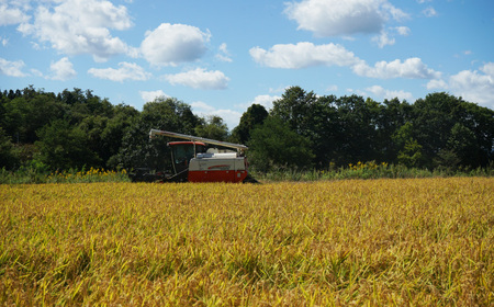 特Aランクななつぼし10kg（精米）【北海道栗山町産】
