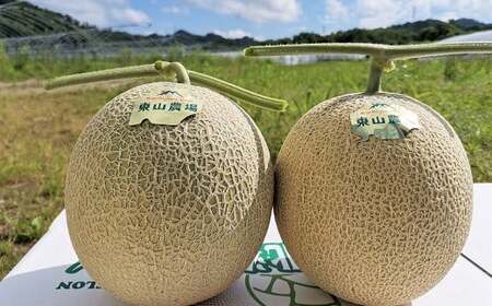 【先行予約】【大玉】とろける舌触り！東山農場産キングメロン 2玉