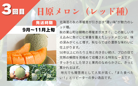 【先行予約】北海道産赤肉メロン3種定期便（1玉×3回）