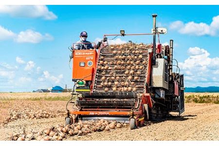 【9月発送】サラダにもOK！特別栽培玉ねぎ10kg