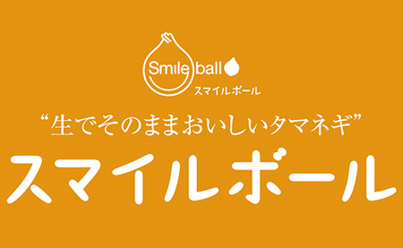 生でそのままおいしいタマネギ「スマイルボール」2kg
