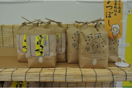 【北海道米定期便】自慢の4品種食べ比べ10kg×2回