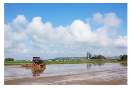 特別栽培米ゆきひかり（精米）2kg×3袋