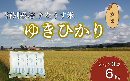 特別栽培米ゆきひかり（玄米）2kg×3袋