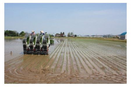 特別栽培「きなうす米」セット（玄米）3品種9kg