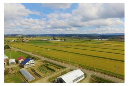 特別栽培「きなうす米」セット(玄米)3品種15kg