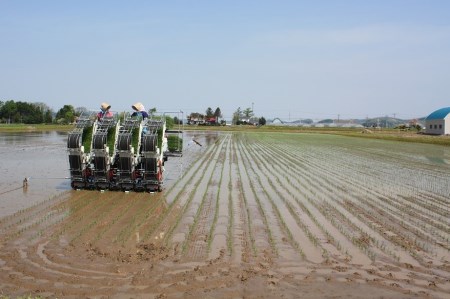 【玄米6ヶ月定期便】特別栽培「きなうす米」ゆめぴりか5kg×6回
