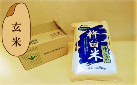 玄米12ヶ月定期便】特別栽培「きなうす米」ゆめぴりか5kg×12回