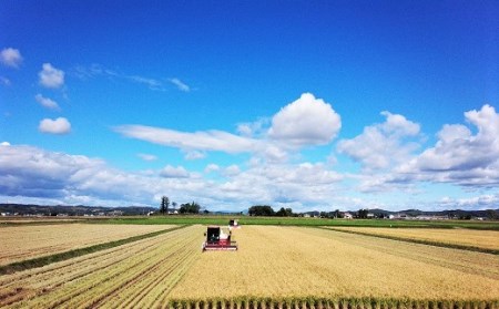 【精米12ヶ月定期便】特別栽培「きなうす米」ゆめぴりか10kg×12回