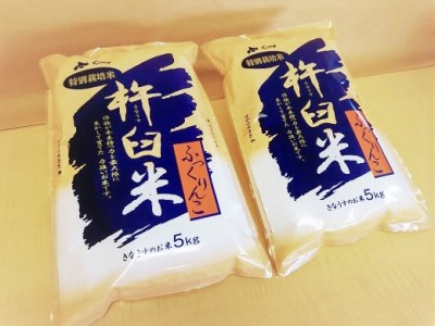 【無洗米12ヶ月定期便】特別栽培「きなうす米」ふっくりんこ10kg×12回