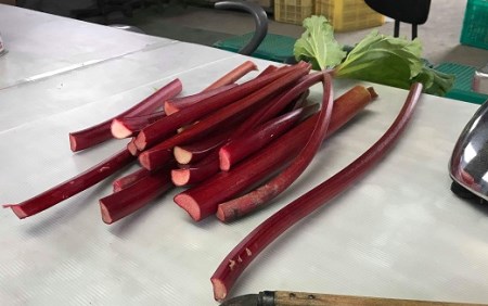 岩﨑農場 「農夫の手作りルバーブジャム」3本セット