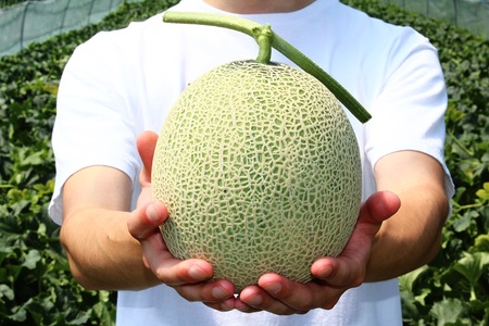 極上の一品「日原メロン（レッド種）」（1.7kg相当×2玉）