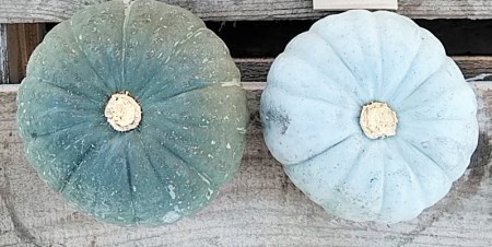 【先行予約】北海道栗山町産 ほっくほくかぼちゃ 2玉