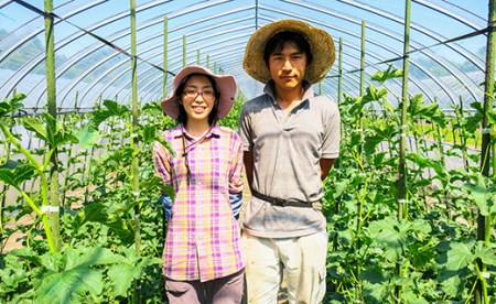 【先行予約・数量限定】北海道の森が育てた奇跡のキングメロン 1玉